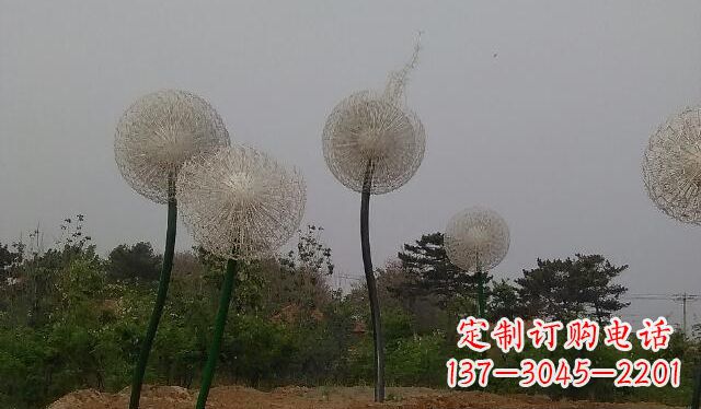 长春蒲公英的绚丽多彩