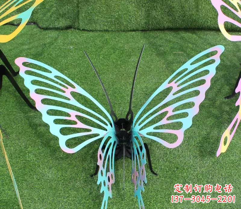 长春彩色不锈钢镂空蝴蝶雕塑精美又充满生机