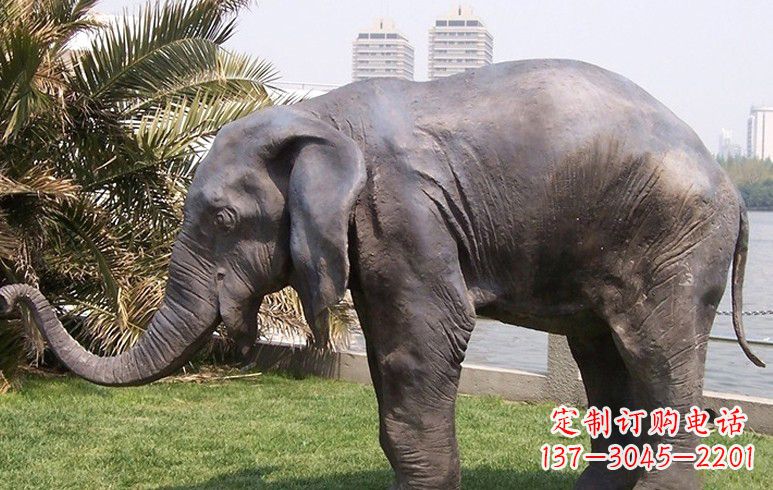 长春高品质铜质大象雕塑