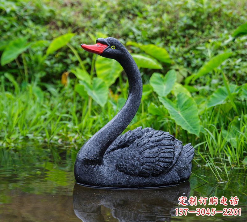 长春黑天鹅仰脖款-园林水塘水景装饰动物摆件
